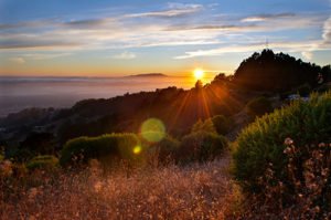 Berkeley Moving Company